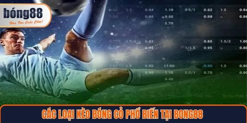 Các loại kèo bóng cỏ phổ biến tại Bong88