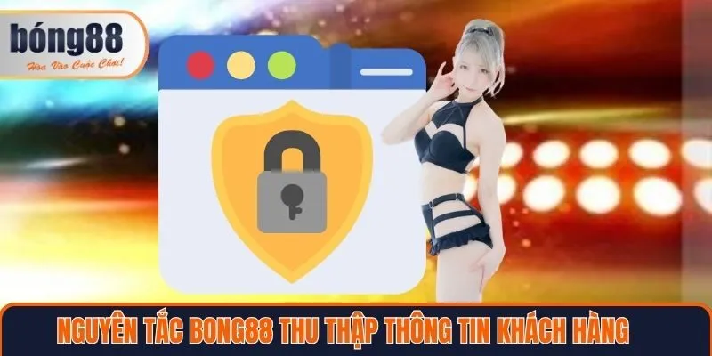 Nguyên tắc Bong88 thu thập thông tin khách hàng